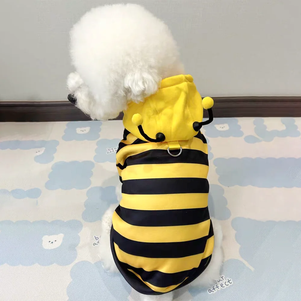 Dog wearing a yellow and black striped bee costume on a light blue blanket.
