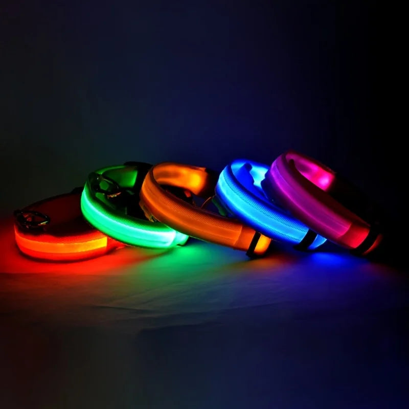 LED Safety Dog Leash & Collar | USB Rechargeable & Weatherproof