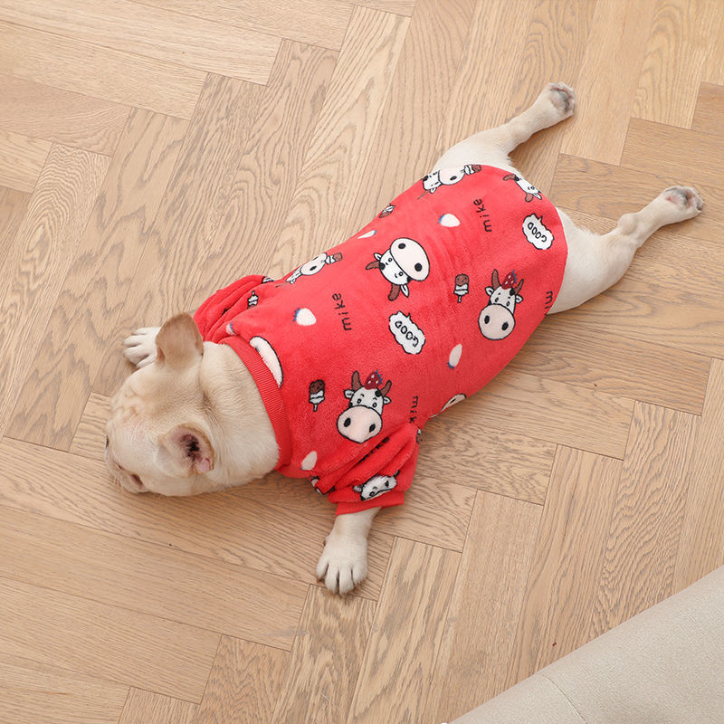 Dog wearing a red outfit with cow patterns on a wooden floor