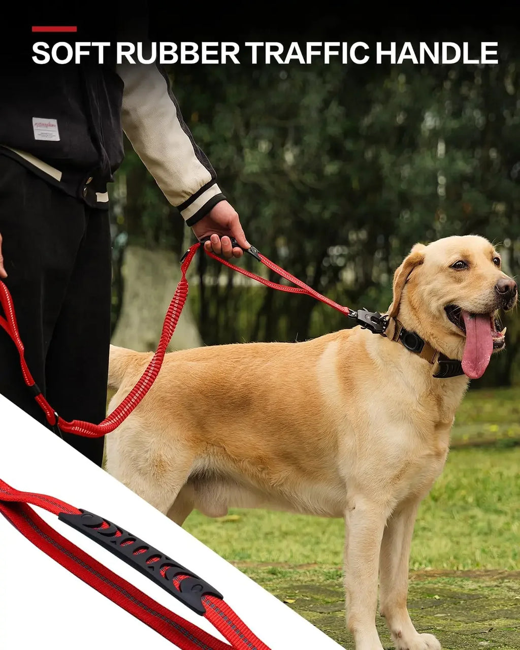 Dog on a red leash with a soft rubber traffic handle, standing outdoors.