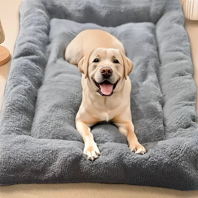 Dog lying on a fluffy gray pet bed