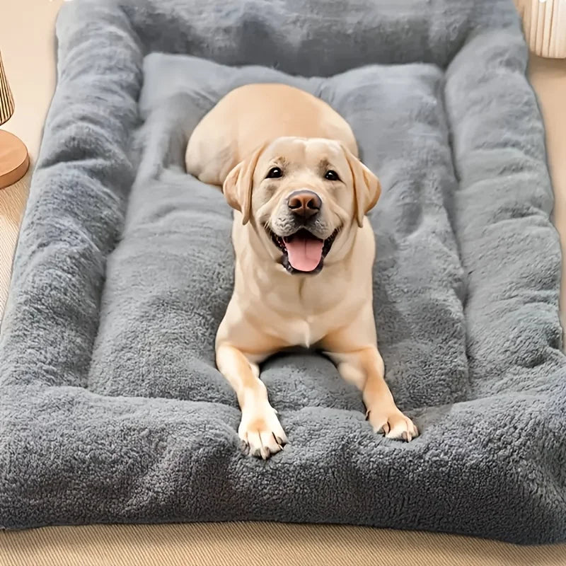 Dog lying on a fluffy gray pet bed