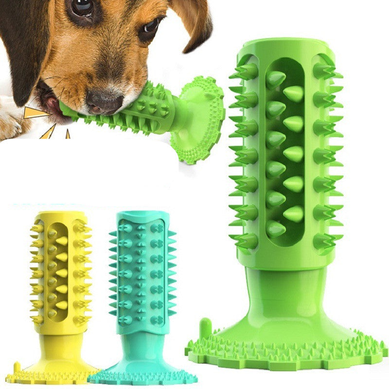 Dog playing with a green rubber toy, with additional toys in yellow and blue on a white background.