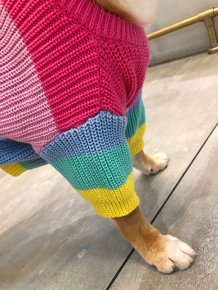 Colorful knitted dog sweater on a dog standing on a tiled floor.