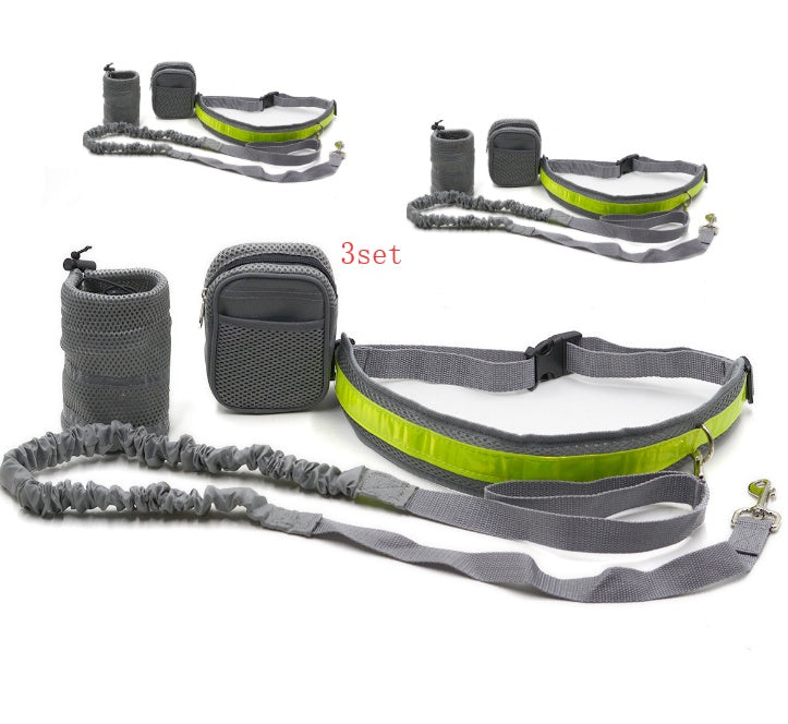 Set of gray and green dog leashes and collars on a white background