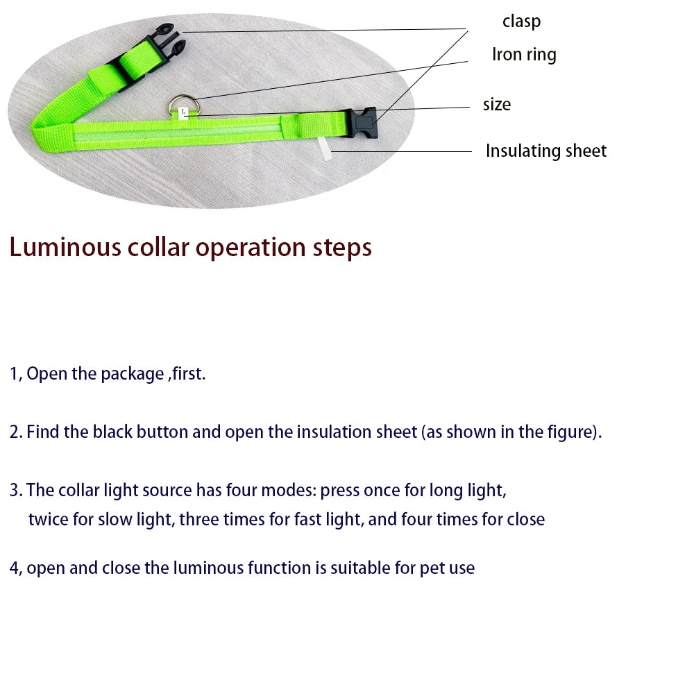 LED Safety Dog Leash & Collar | USB Rechargeable & Weatherproof