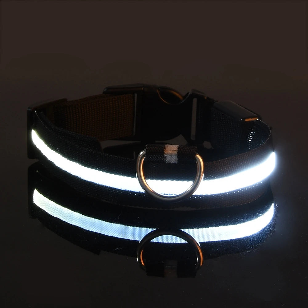 LED Safety Dog Leash & Collar | USB Rechargeable & Weatherproof