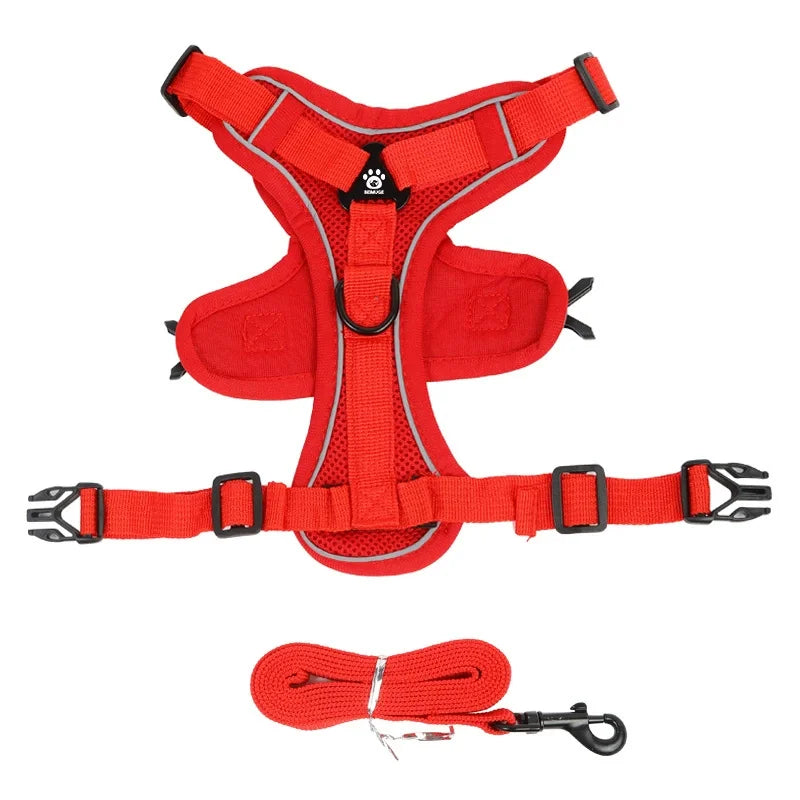Red dog harness and leash set on a white background