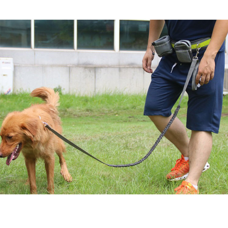 Person walking a dog on a leash in an outdoor setting