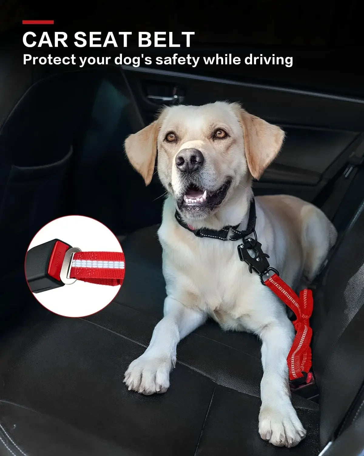 Dog wearing a car seat belt in a vehicle with text 'Protect your dog's safety while driving'.