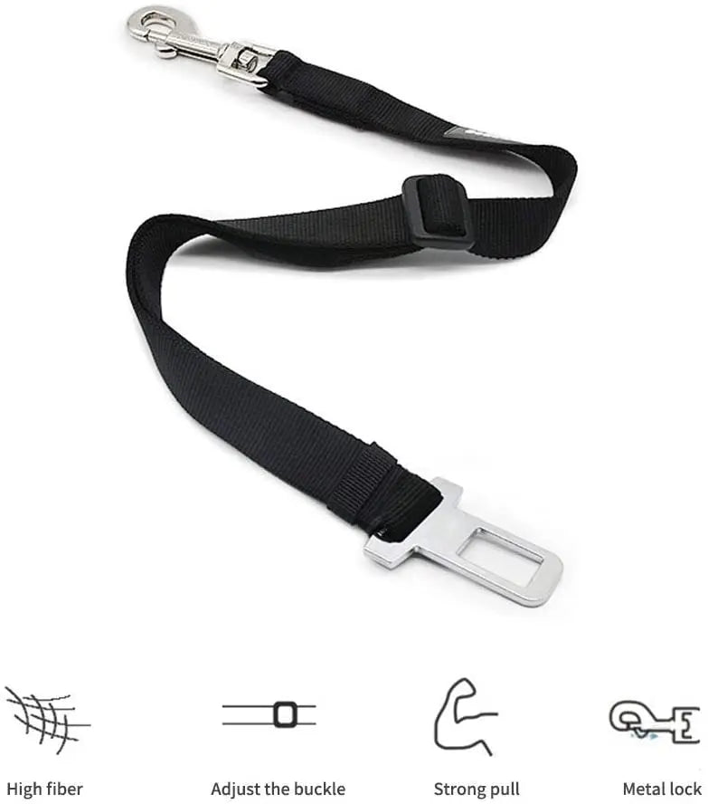 Black car seat belt with metal lock on a white background