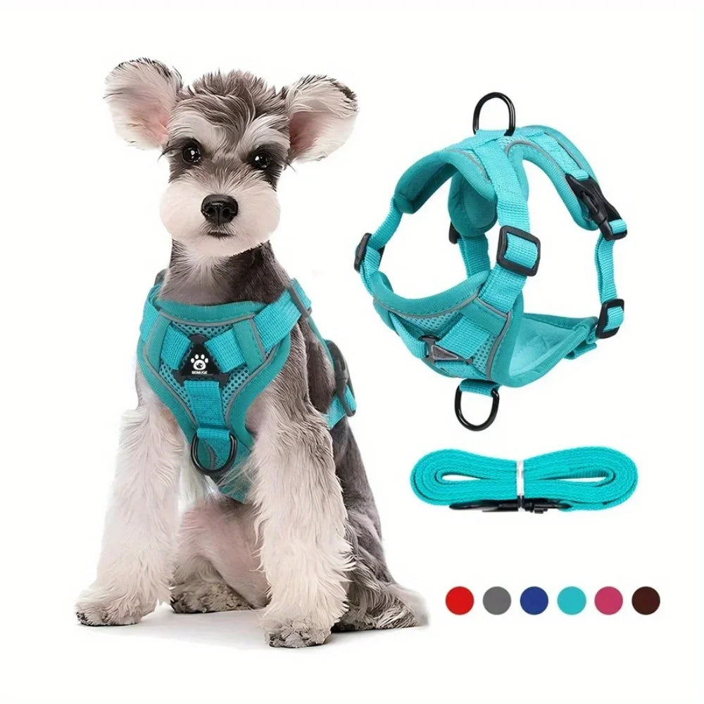 Dog wearing a teal harness with a matching leash on a white background