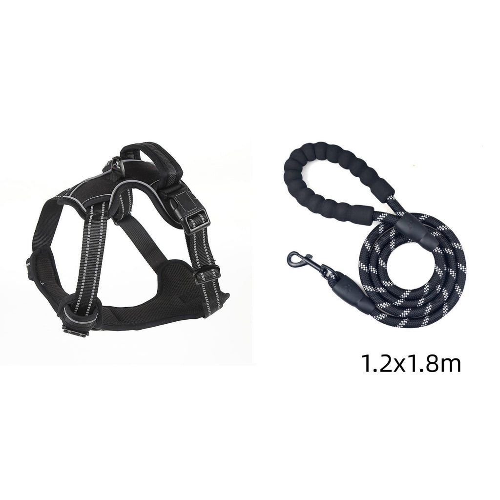 Black dog harness and leash set on a white background