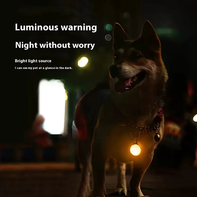 Dog wearing a glowing collar in the dark with text 'Luminous warning Night without worry'.