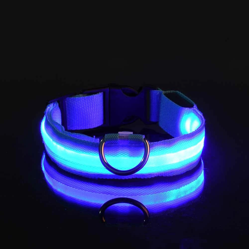 LED Safety Dog Leash & Collar | USB Rechargeable & Weatherproof