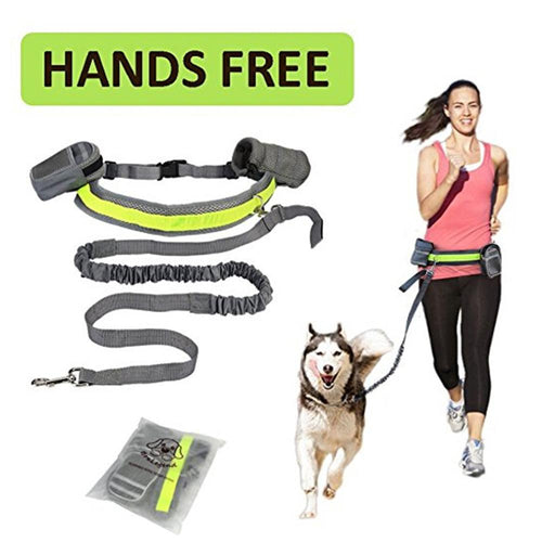 Dog running with a leash and a woman running with a hands-free dog leash system.