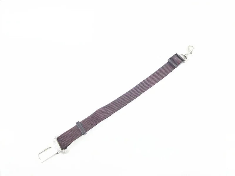 Purple strap with metal clasp on a white background