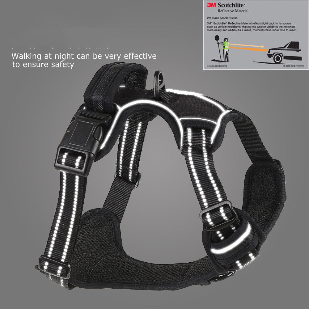 Reflective dog harness with text about night safety on a gray background