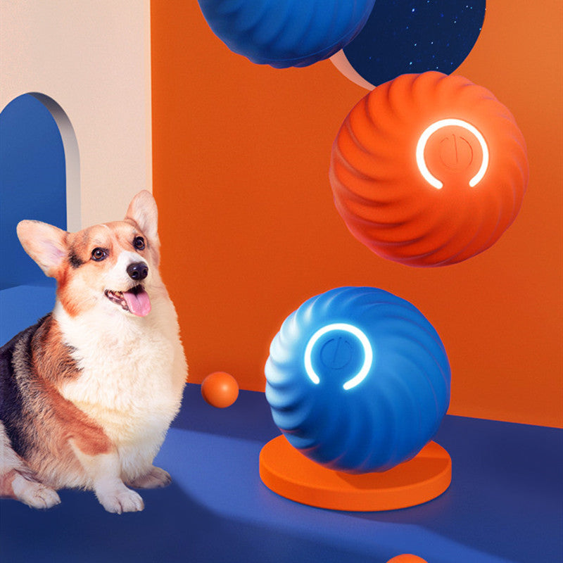 Dog with colorful lampshades on a blue and orange background