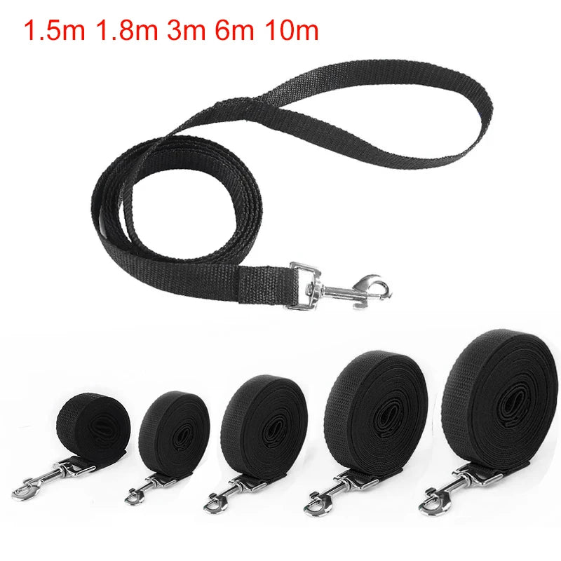 Black dog leashes of different lengths with a clip on a white background