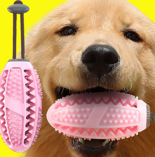Dog holding a pink and gray chew toy against a yellow background