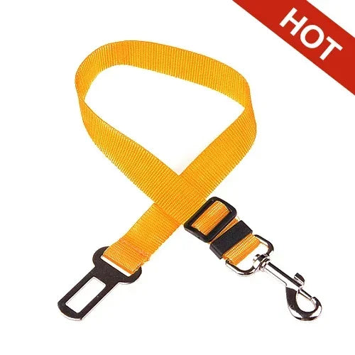 Yellow dog leash with black clip and metal carabiner on a white background