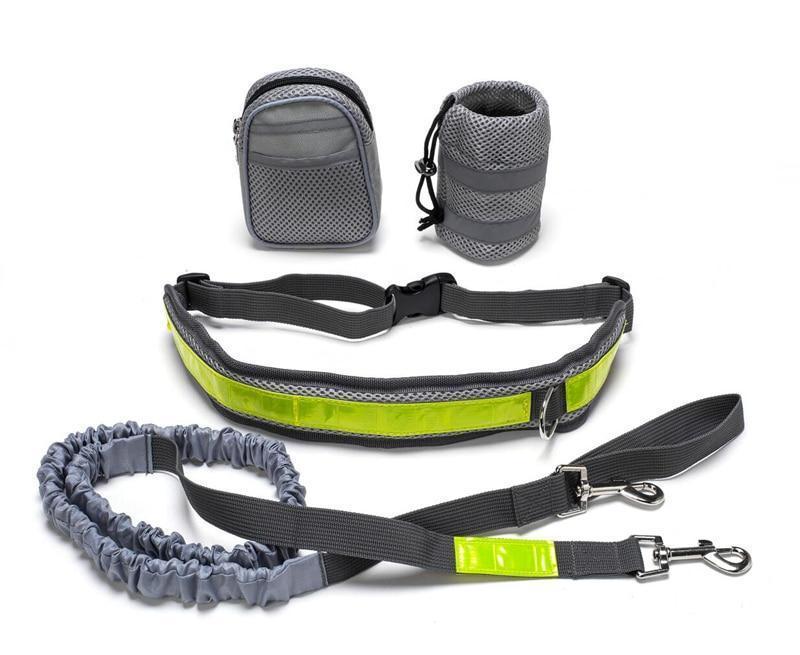 Dog walking set with leash, waist belt, and pouches on a white background