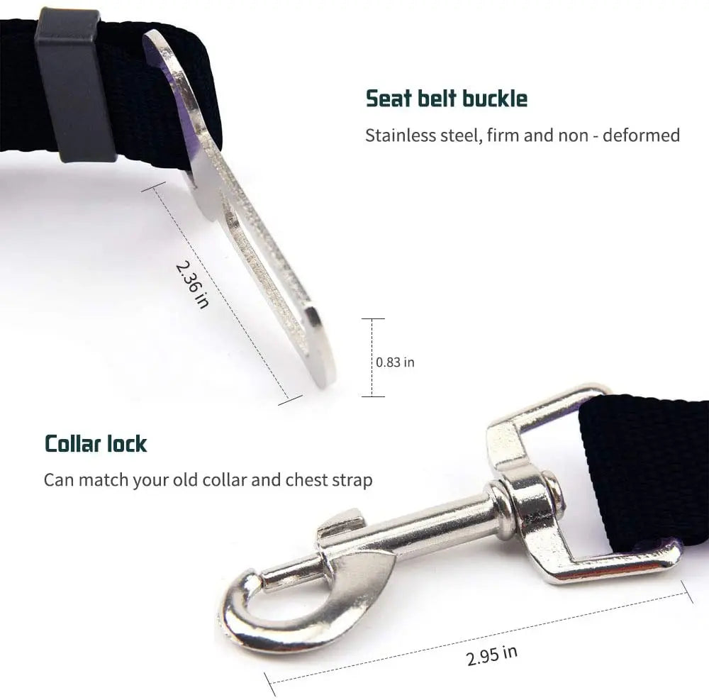 Dog collar with metallic buckle and measurements on a white background
