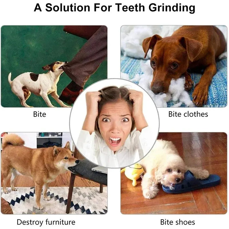 Comedy meme about dogs' behaviors as a solution for teeth grinding, including biting, chewing on clothes, destroying furniture, and biting shoes.