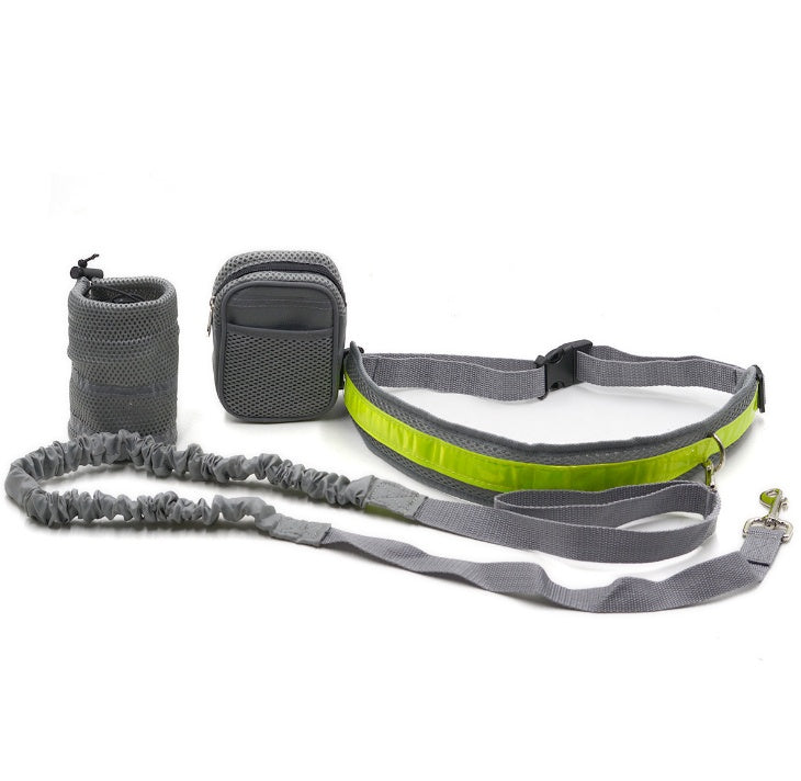 Dog leash and collar set with gray and green accents on a white background