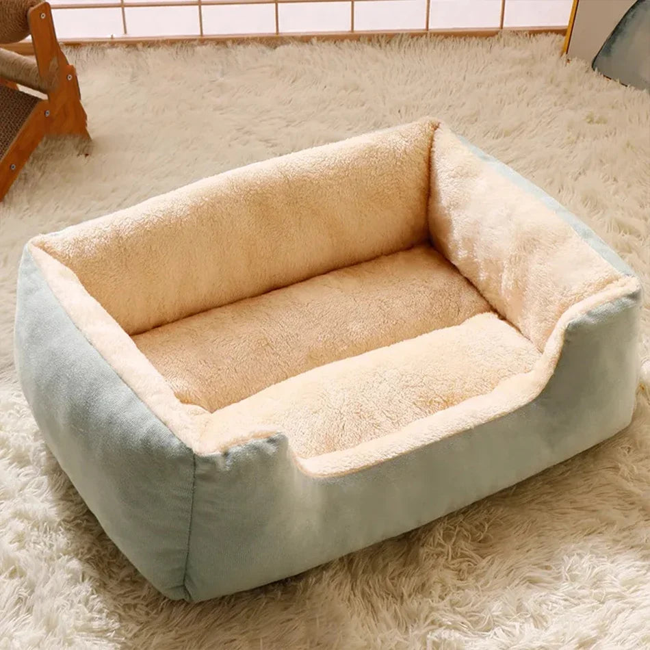 Pet bed with beige interior and light blue exterior on a fluffy white carpet.