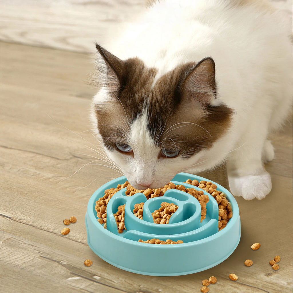 Cat eating from a blue slow feeder bowl on a wooden floor