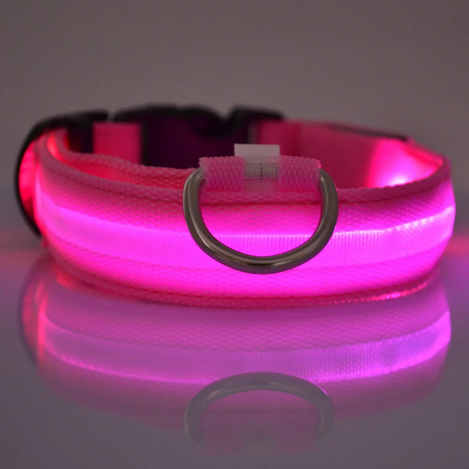 LED Safety Dog Leash & Collar | USB Rechargeable & Weatherproof