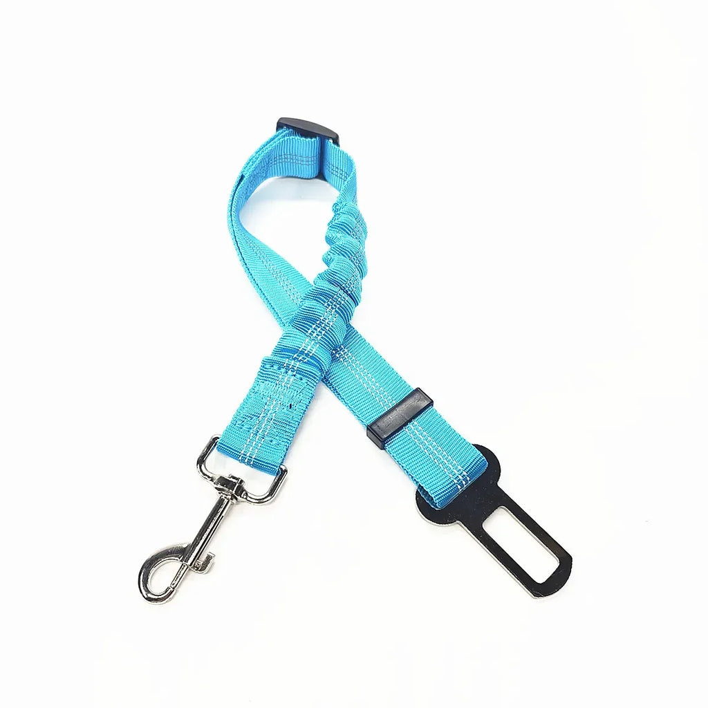Blue dog leash with car clip on a white background