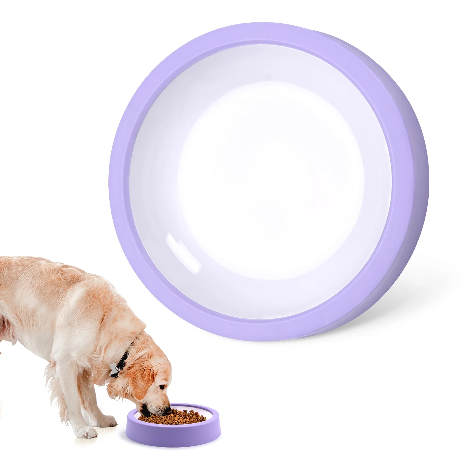 Dog eating from a purple pet bowl with a clear lid on a white background