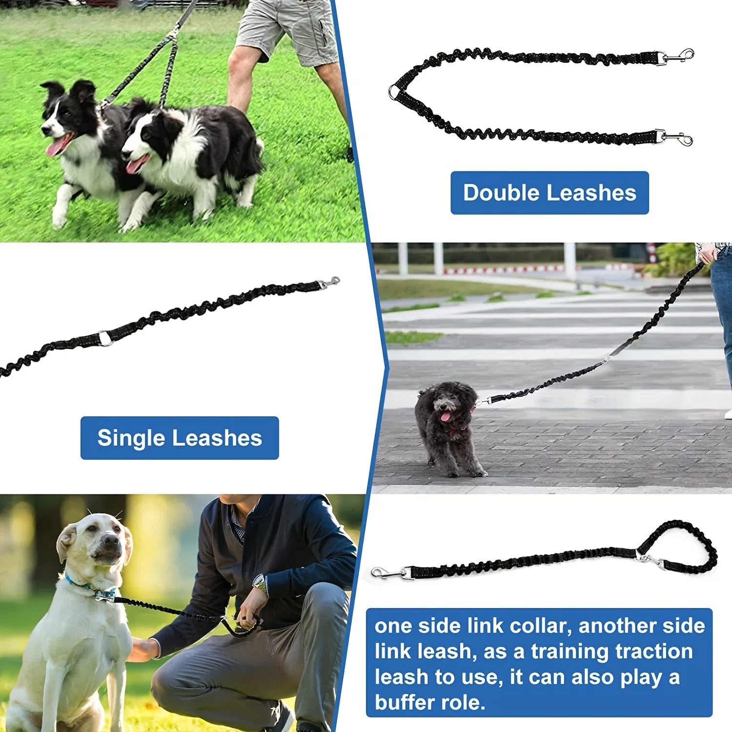 Dog leashes and collars with text labels on a split-screen background.