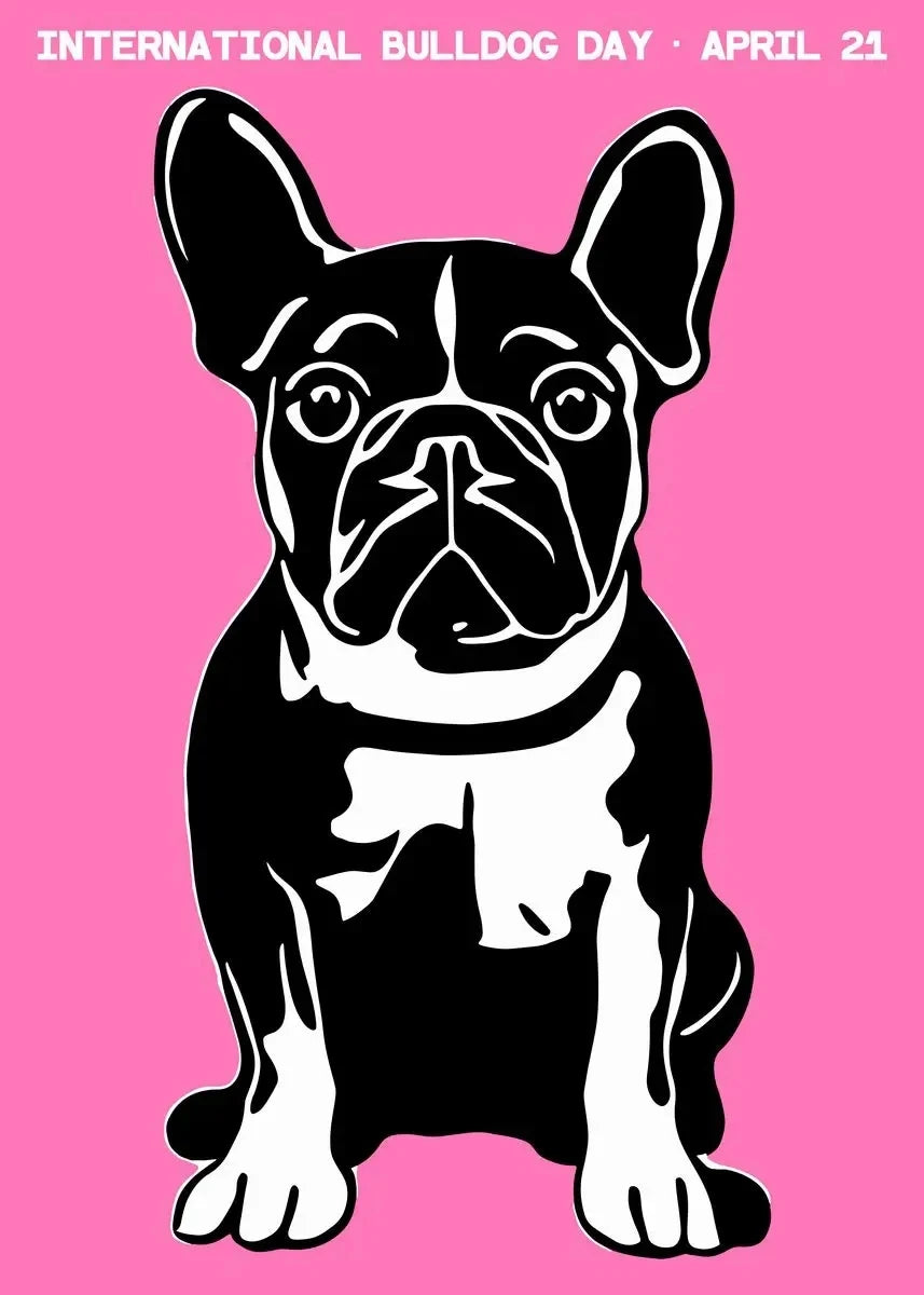 1pc frameless Canvas Painting Colorful Bulldog Sausage Dog Cute Dachshund Portrait Poster Canvas Painting And Print Pop Art Wall