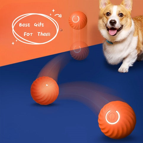 Dog with orange balls and text 'Best Gift For Them' on an orange and blue background