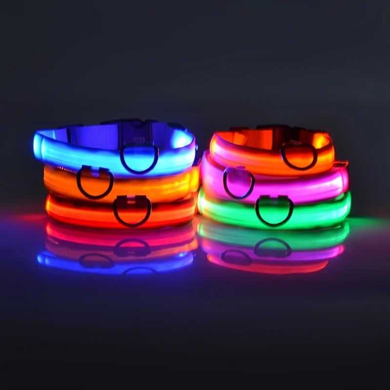 LED Safety Dog Leash & Collar | USB Rechargeable & Weatherproof