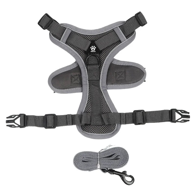 Gray dog harness with matching leash on a white background