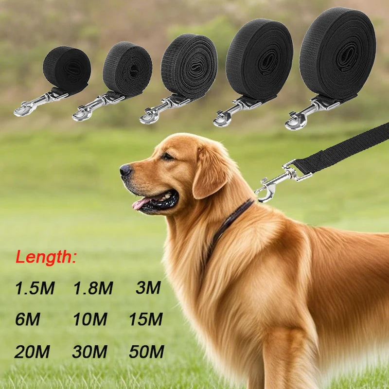 Dog with various lengths of black dog leashes displayed above it on a grassy background.