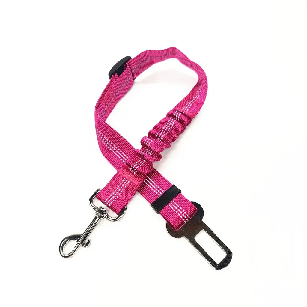 Pink dog leash with metal clip on a white background