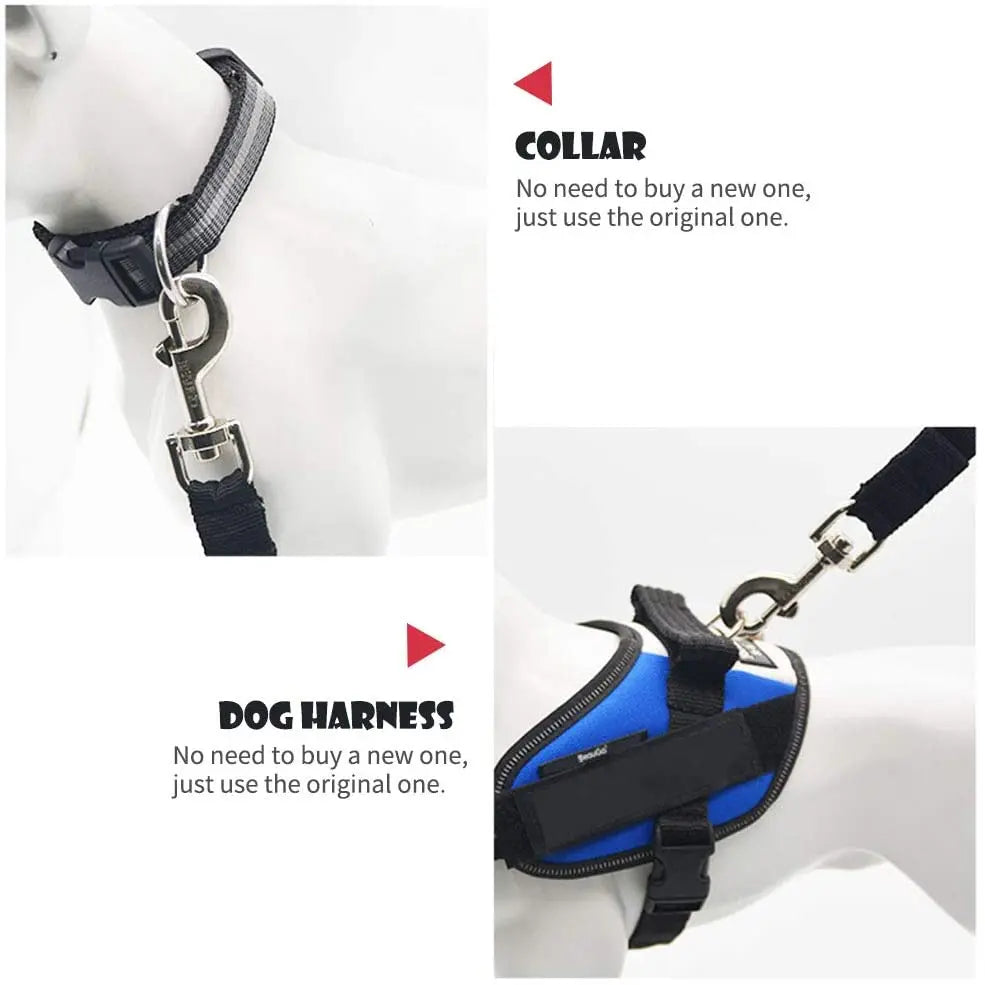 Dog collar and harness on a mannequin with text indicating compatibility.