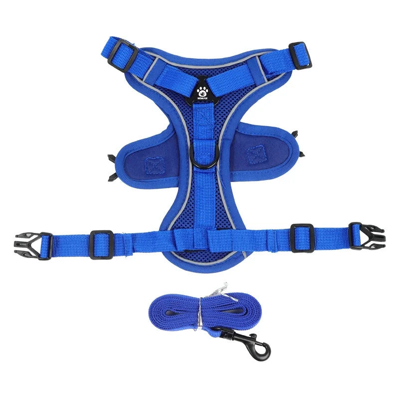 Blue dog harness and leash set on a white background