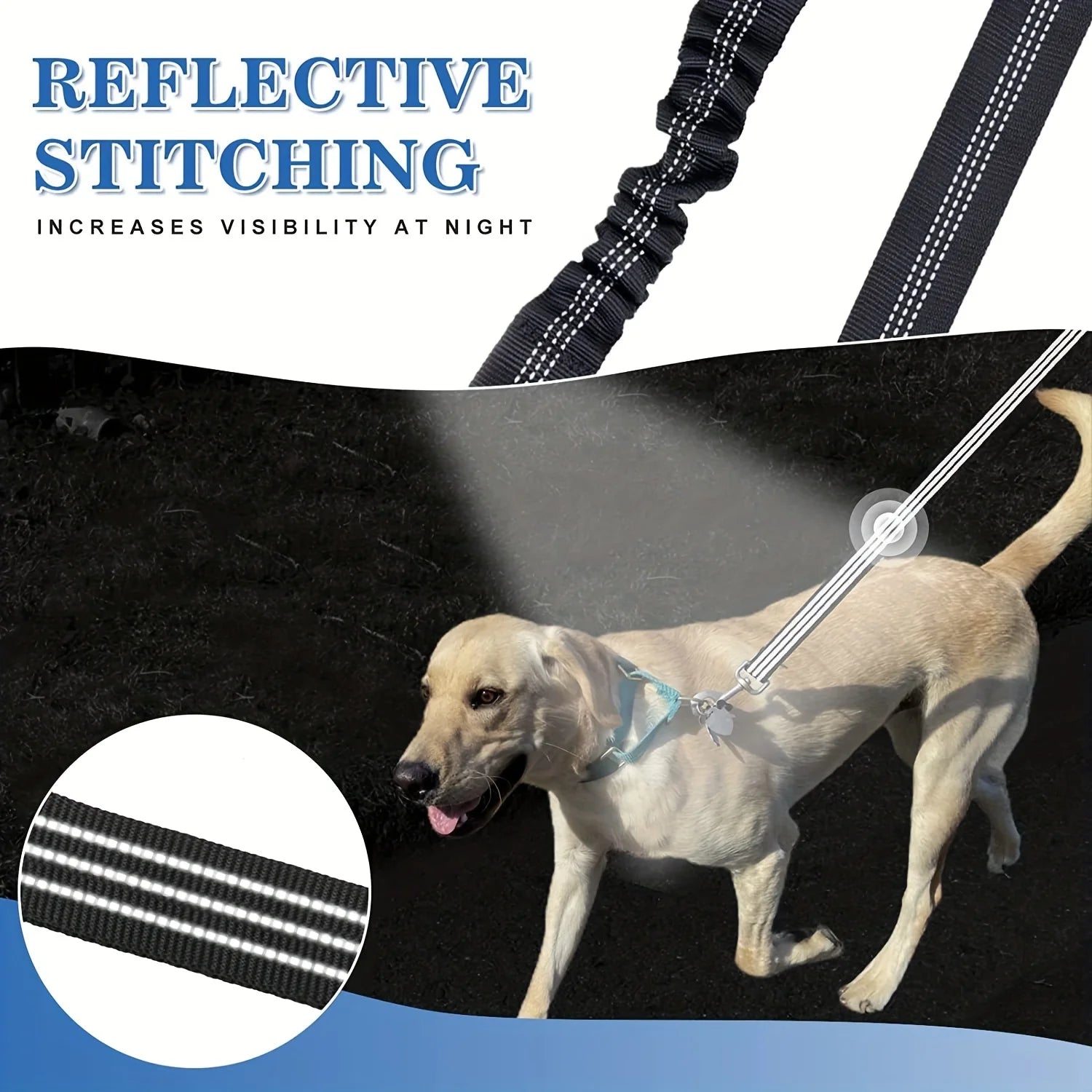 Dog wearing a reflective leash with text highlighting reflective stitching.