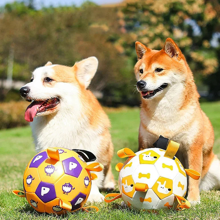 Two dogs sitting on grass with two colorful dog toys in front of them.