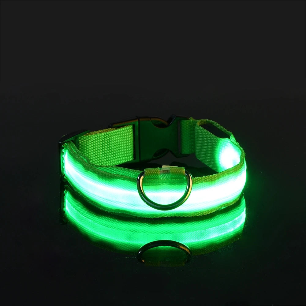 LED Safety Dog Leash & Collar | USB Rechargeable & Weatherproof