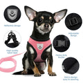 Dog wearing a pink harness with features highlighted on a white background