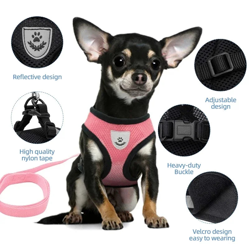 Dog wearing a pink harness with features highlighted on a white background