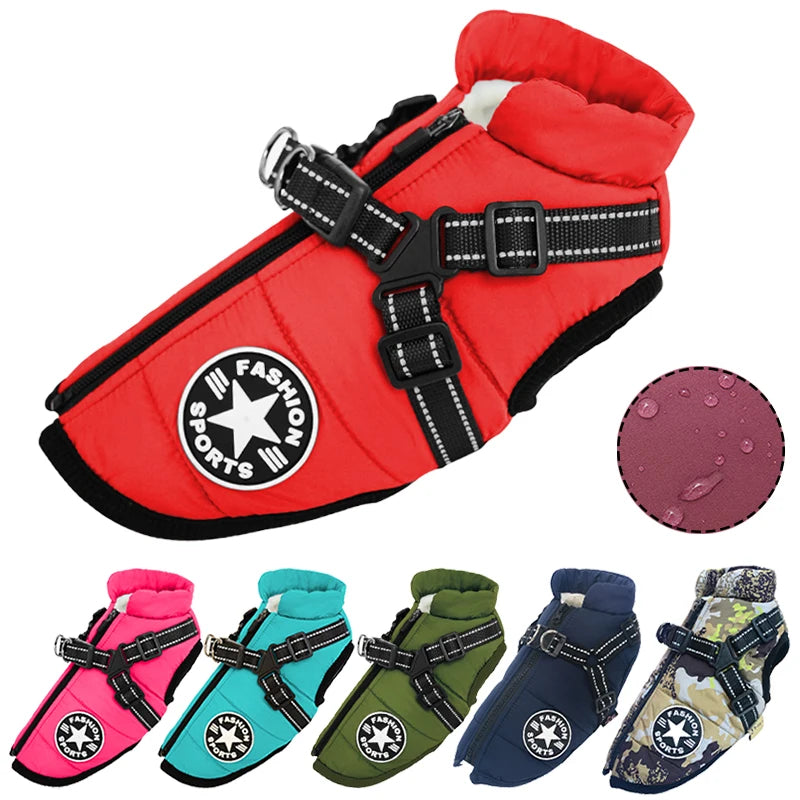 Red dog coat with 'Fashion Sports' logo, shown with color swatch and additional coats in different colors on a white background.